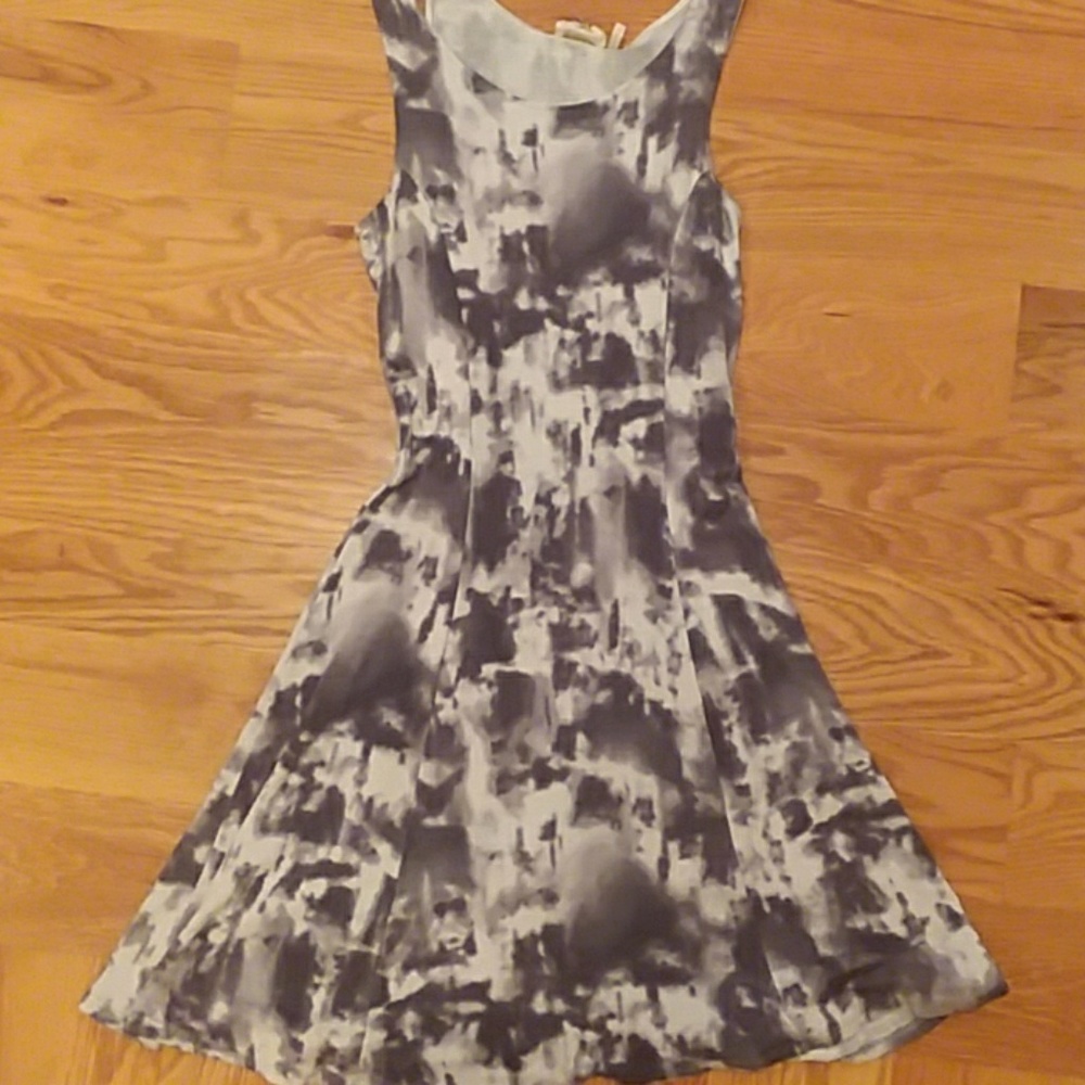 Skater Dress